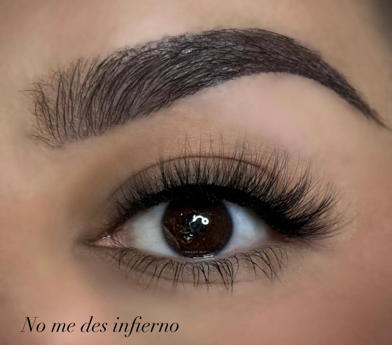 La preciosa Lashes kit