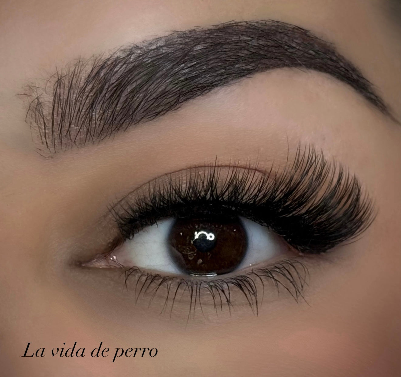 La preciosa Lashes kit