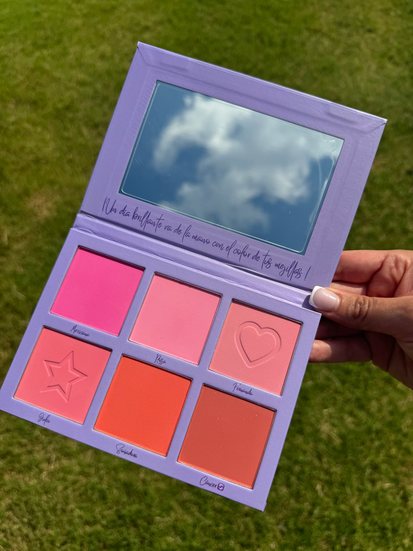 Birthday cake Blush palette